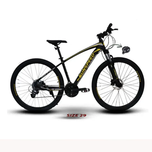 دوچرخه کوهستانی سان اسپید SUNSPEED کد 2902 مدل PRO 200 سایز 29-اسباب بازی